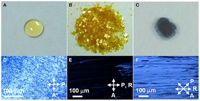 Ionic Charge-Transfer Liquid Crystals Formed by Alternating Supramolecular Copolymerization of Liquid π-Donors and TCNQ